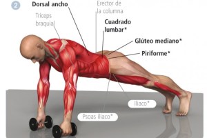 fondos-santana-mov-dos_thumb_e