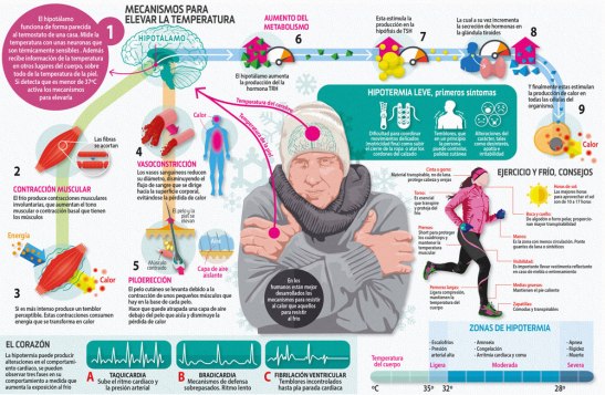 imagegallery-5536-5834b610c1aca