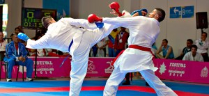 105260714RDI_FDP_KARATE_RODRIGUEZ