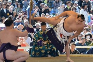 Sumo-japonés-360x240