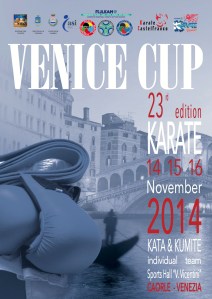 VENICECUP2014