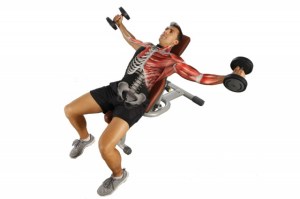 aperturas-con-mancuernas_thumb_e