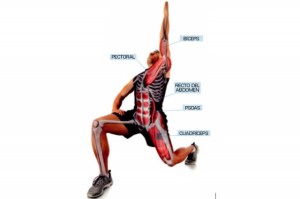 cadena-anterior_thumb_e