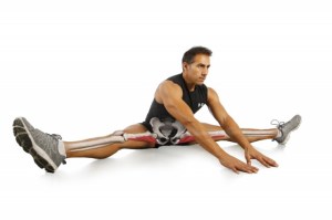 est-pasivo-del-musculo_thumb_e