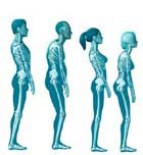 portadaEsqueleto_thumb_d