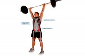 tronco-con-cargas_thumb_e