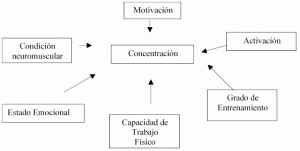 Sistema de condiciones que interactúan en la concentración de la atención.