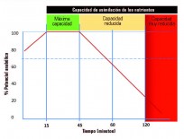 ventana-metabolica-txt_thumb_d