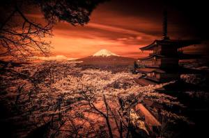 1011809_297577650378915_2008320505_n