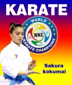 10685554_934986583183363_191600403460319481_n