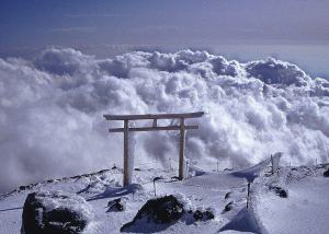 945058_279542652182415_1805524902_n