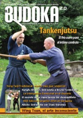 budoka25-141231192817-conversion-gate02-thumbnail
