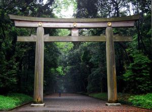 223460_235218396614841_1376609376_n