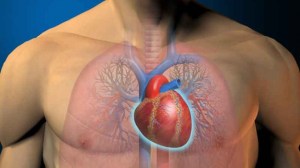 article-muerte-subita-deporte-54b7b9856c9fb