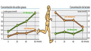 concentracion-lactato
