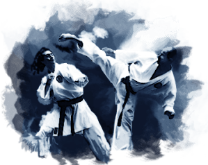 glauco-alvaro-ura-mawashi-geri