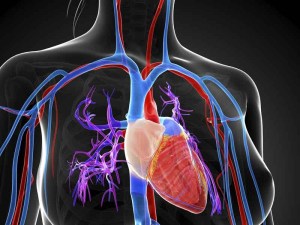 paragrapharticle-8237-54e70b739f924