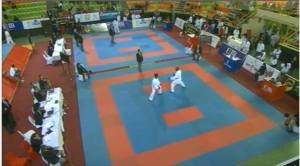 1002652_781150361954305_6665137398151393862_n