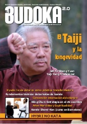 budoka26-150301131041-conversion-gate01-thumbnail