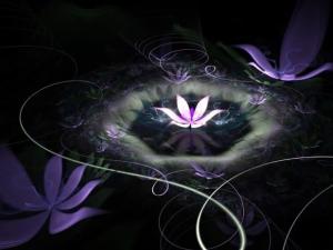 10406387_544137579056253_9318004058538059_n