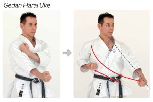 1271672_622889974408069_209060944_o