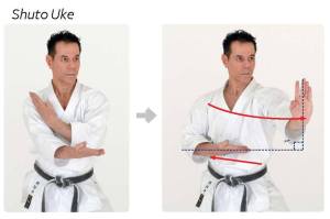 1274179_622899834407083_1879779679_o