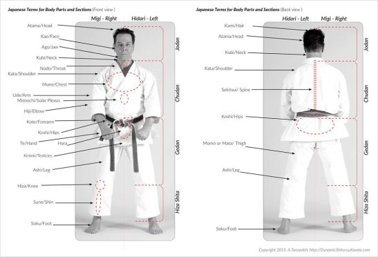 15235802_1289251464438580_6978588043925037025_o