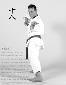 Shitoryu-Kata-Seipai-Tanzadeh-Sensei