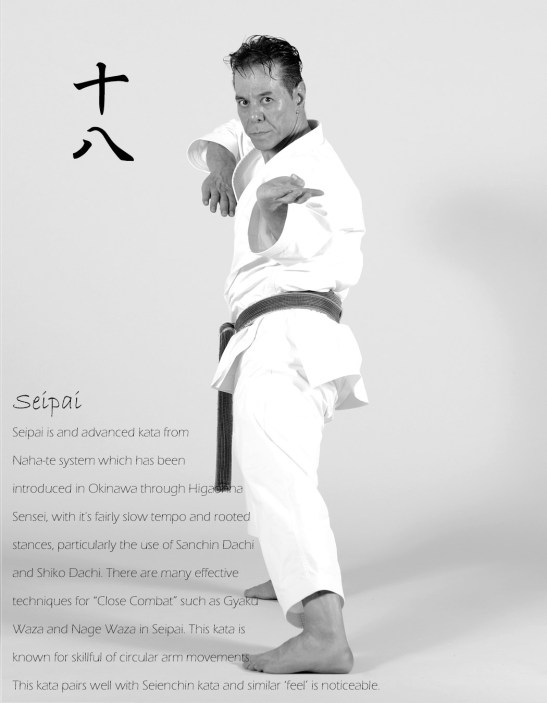 Shitoryu-Kata-Seipai-Tanzadeh-Sensei