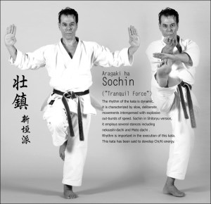 Tanzadeh-Sochin-Kata-1024x993