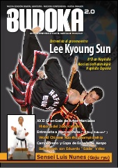 budoka28-150701125211-lva1-app6891-thumbnail