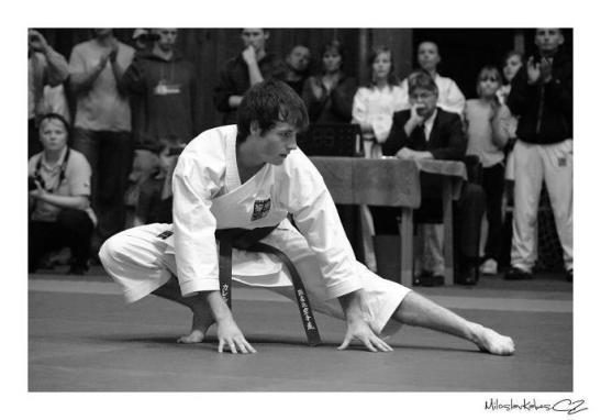 532444_354939774575368_1715140771_n