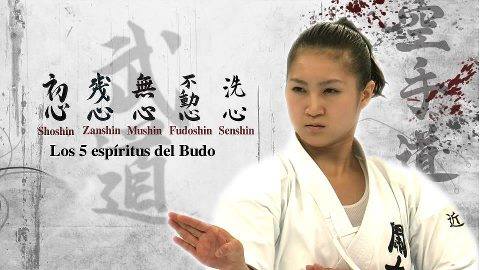 11251213_889501727785834_6843245869771433673_n