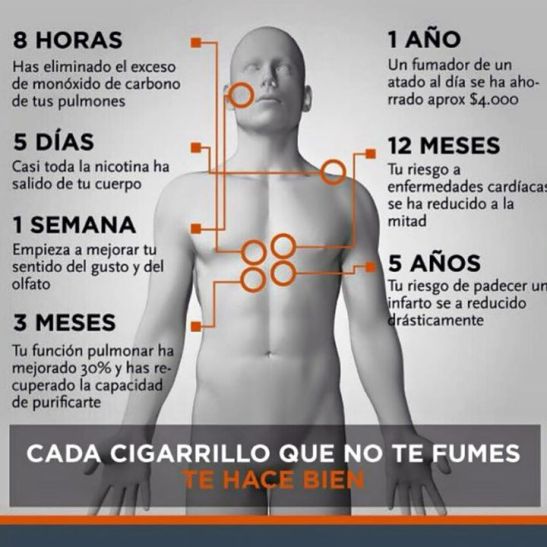 12313618_1657092967898923_1047042534323352015_n