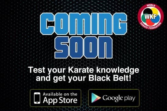 12366417_627738130699299_2452795737224311278_n