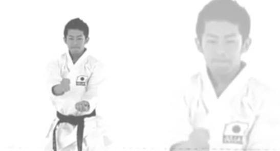 12473590_916199581782715_9189793170078530409_o