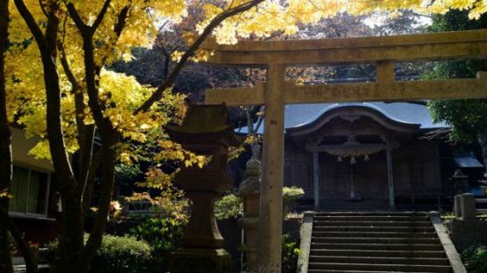 160113130448_santuario_624x351_thinkstock_nocredit