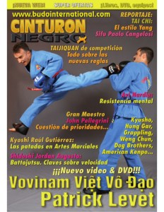 revista-artes-marciales-cinturn-negro-1-638