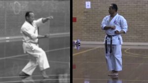 12496670_1559165631070101_1993862194_n