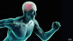 160212170601_ejercicio_304x171_spl