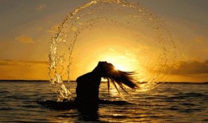 12804849_741876505949025_202666242820706376_n