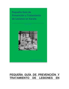 pequena-guia-de-prevencion-y-tratamiento-de-lesiones-en-karate-1-638