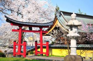 12961654_1001385573272199_1459660936227170290_n