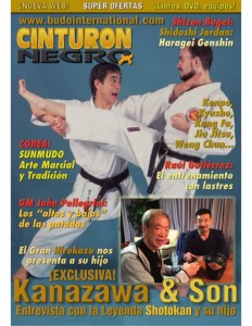 revista-artes-marciales-cinturn-negro-1-638