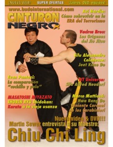 revista-artes-marciales-cinturo-negro-1-638
