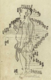 hua-shou-acupuncture-chart