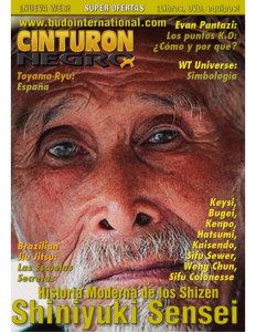 revista-artes-marciales-cinturn-negro-1-638