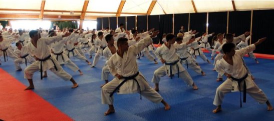 wkf-youth-training-camp-karate-1-youth-cup-to-showcase-karates-impressive-impact-among-youngsters-293
