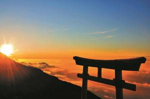 13627254_1124875050917089_8315437366868864934_n