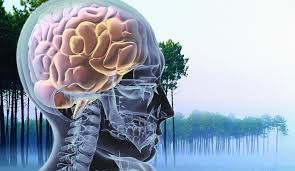 Foto: www.google.com